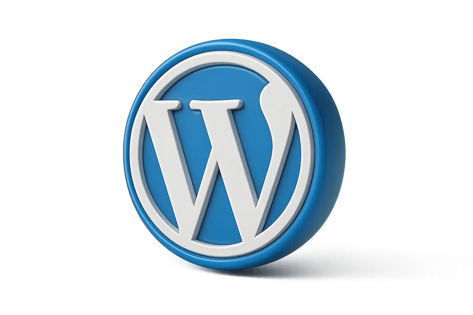 wordpress (1)